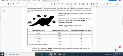 Using the data provided in Table 1, calculate the energy consumed by the female sea otter that you