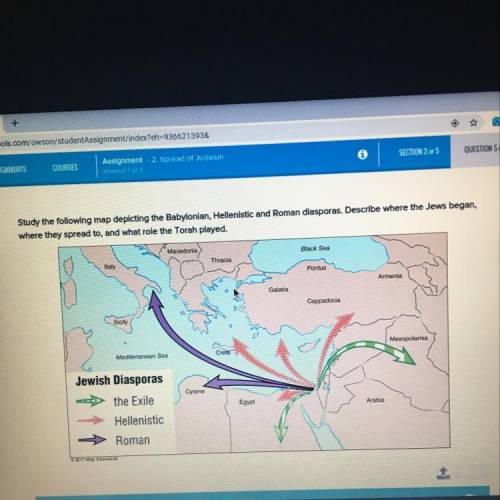 Describe where Jews began, where they spread to, and what role the Torah played