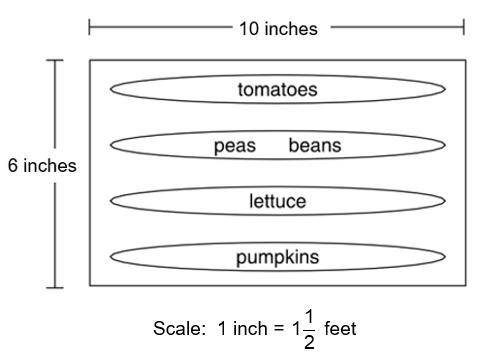 The diagram below is a scale drawing of Mr. Yi’s garden. What is the total area of his actual garde