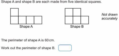 What is the perimeter of shape B?