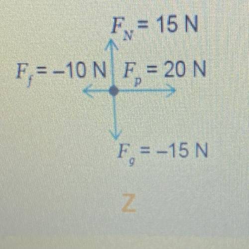 The free-body diagram of four objects are shown.

Which object has a net force of -5N down?
W
X
Y