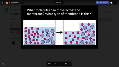 I need help please! ASAP! please 
biology