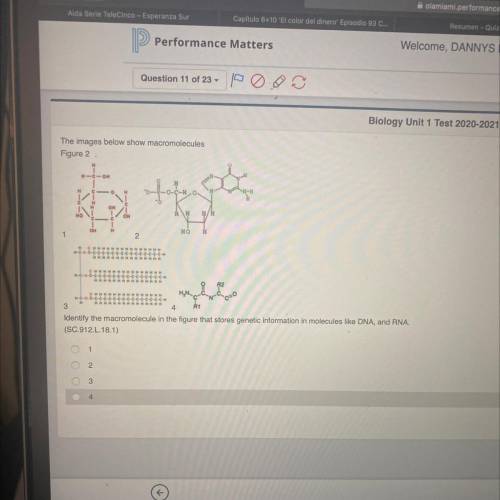 Identify the macromolecule in the figure that store genetic information in molecules DNA, and RNA?