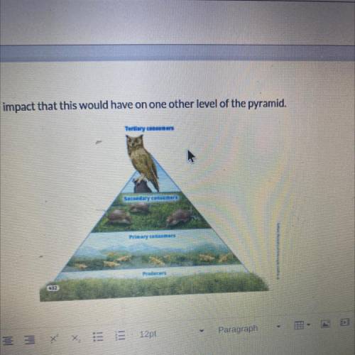 4

count
2 points
Choose one level of the pyramid to remove. Discuss the impact that this would ha