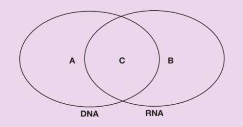 4) Complete the Venn diagram by identifying common or isolated characteristics (Note B identifies