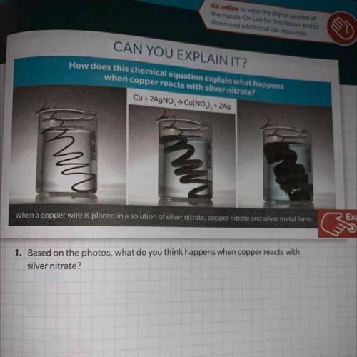 1. Based on the photos, what do you think happens when copper reacts with
silver nitrate?