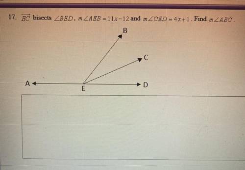 Please help me answer this question 17