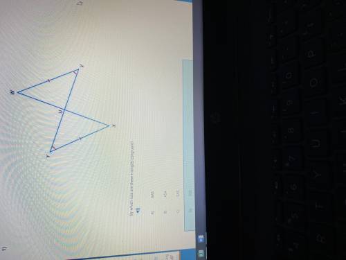 WILL MARK by which rule are these triangles congruent