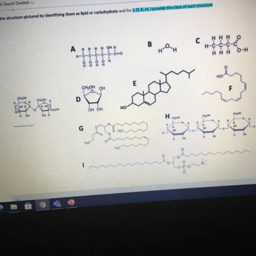 Name the structure pictured by identifying than as lipids or carbohydrates and for J,D,E,H provide