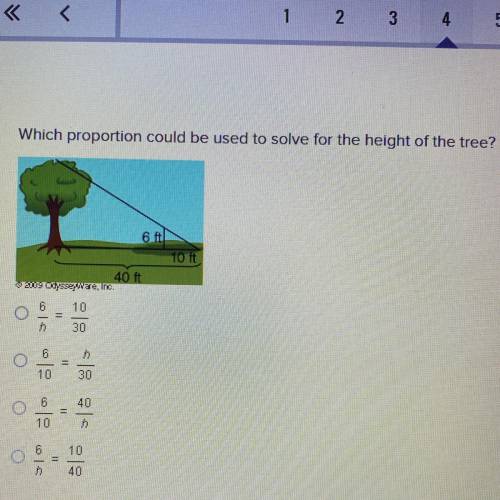 Which proportion could be used to solve for the height of the tree?

A.) 6/h = 10/30
B.) 6/10 = h/