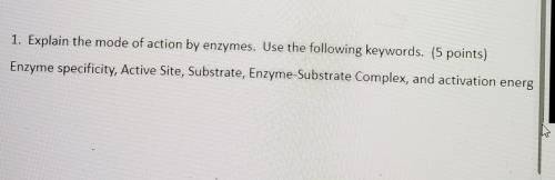 Explain the mode of action by enzymes. Using the following keywords. Enzymes Specificity, Active Si