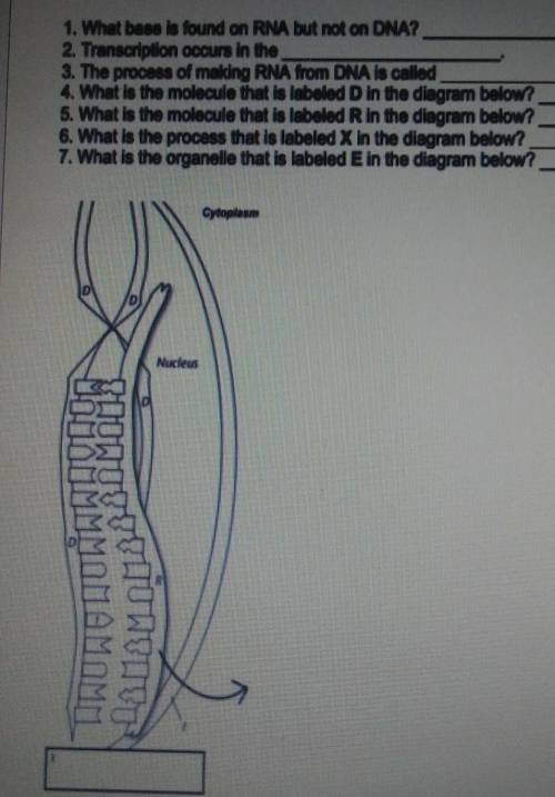 Plss help my grade is low becuase I don't know how to do this quiz plsss.