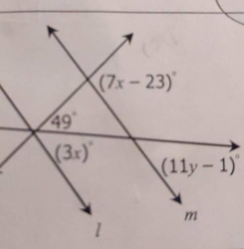 Please solve for x and y.