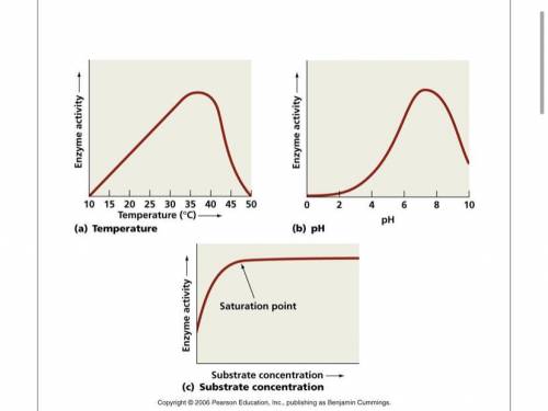 According to the included graphs, what is the optimal pH for this particular enzyme activity?

***