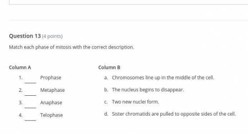 Please help question #13