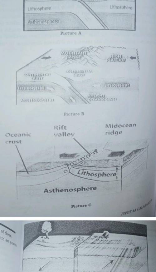 study pictures A to D. Describe each of them reread again the pages of this module to help you crea