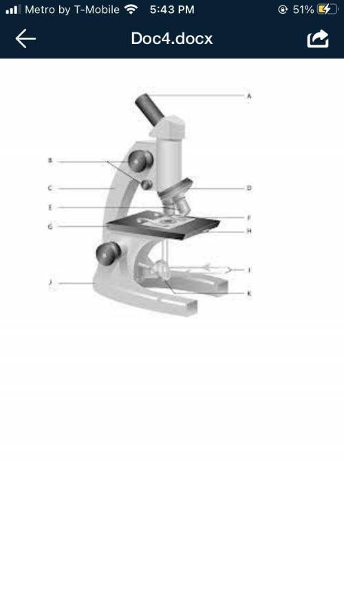 I need help with Microscope diagram