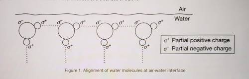 Based on Figure 1, which of the following best describes how the properties of water at an air-wate
