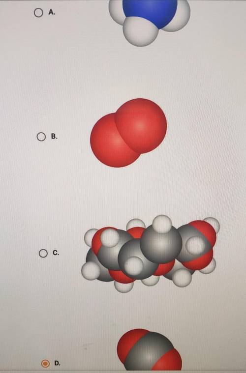 Which model represents an element?