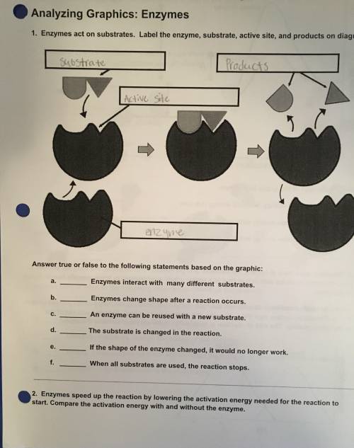 Does anyone know the answers for A-F? I am very confused