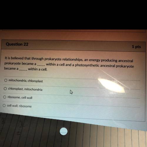 It is believed that through prokaryote relationships, an energy producing ancestral

prokaryote be