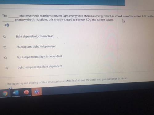 The _____ photosynthesis reactions convert light energy into chemical energy, which is stored in mo