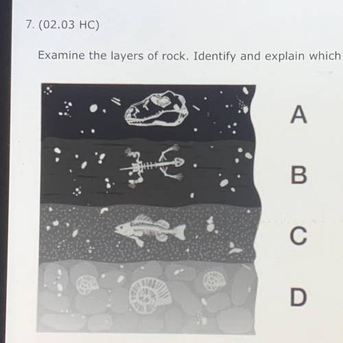 7. (02.03 HC)

Examine the layers of rock. Identify and explain which layer contains the youngest