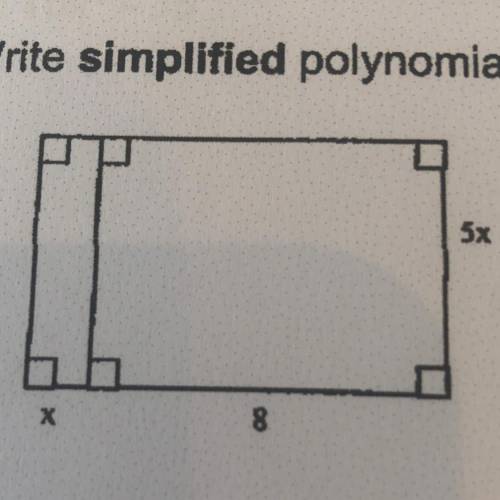 What’s the area and perimeter?