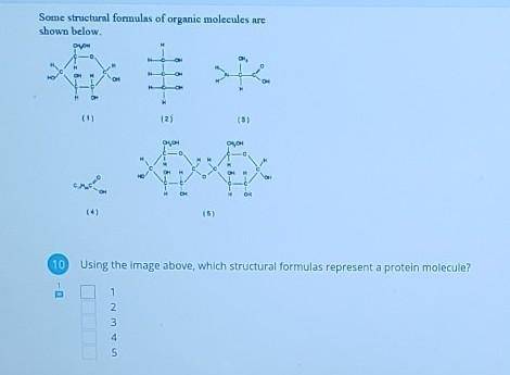 Please help. Worth 10 points.