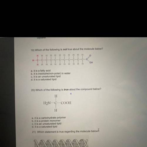 Chapter 3 Biology test