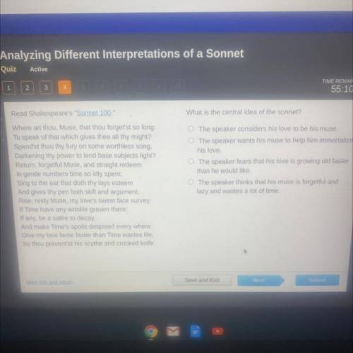 What is the central idea of the sonnet?

Read Shakespeare's Sonnet 100.
Where art thou, Muse, th