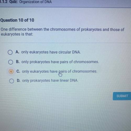 One difference between the chromosomes of prokaryotes and those of
eukaryotes is that: