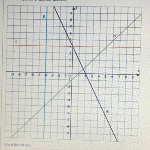 HELPPP ASAPPP

write an equation for each line
line L(the red line)___
line p(the blue line)___
li