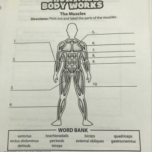 Please help! It’s due today and I suck at biology.