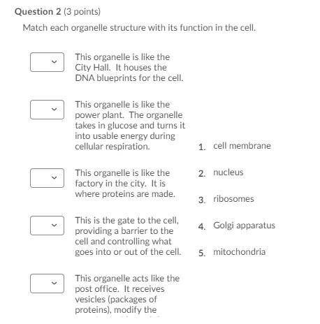 Will Make Brainliest! Match each organelle structure with its function in the cell.

Question 2 op