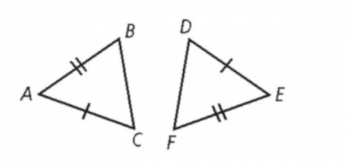 The triangles are congruent. Which one of the following statements must be true? *

Captionless Im