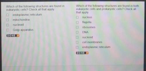 Which of the following structures are found in eukaryotic cells? Check all that apply. endoplasmic