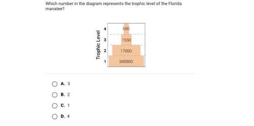 I need help please:)