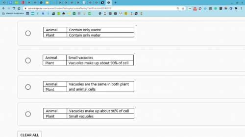 What is the difference in the vacuoles of animal and plant cells?