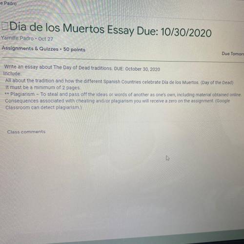 For Spanish who can do this for 60 points please 60 points Ik y’all want that.