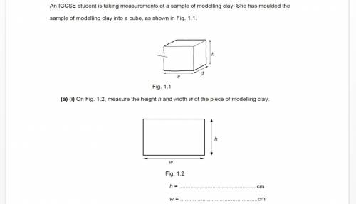 Kindly Help me with the questions :)