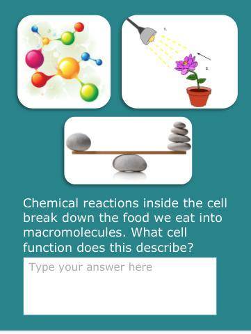 Plz help. this is about cells and cell theory