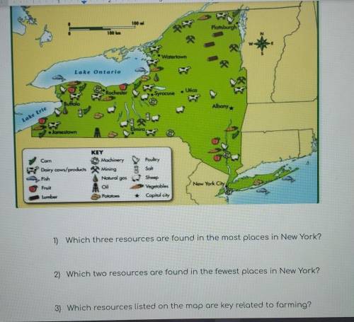 1) Which three resources are found in the most places in New York?