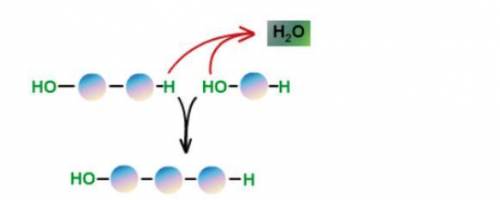 Can you help me please?

What type of reaction is shown in this image AND what is the result of th