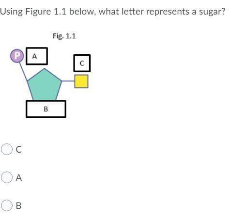 HELP PLEASE I HAVE A FEW MINS THESE ARE MY LAST POINTS