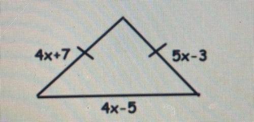 Find x and the perimeter of the triangle. 
x= 
perimeter=
