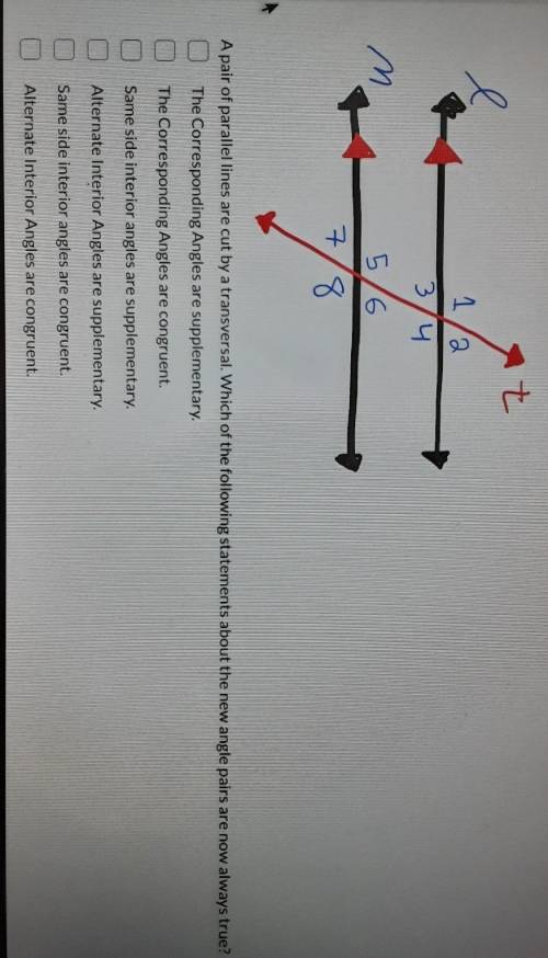 A pair of parallel lines are cut by a transversal. Which of the following statements about the new