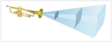 The figure below shows how sound spread out from a horn after it is blown.

 Describe what happens