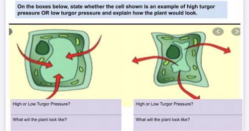 Can someone please help me on this!! It’s due for my next class Will give brainliest and a heart if