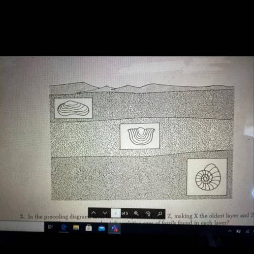 2. In the preceding diagram, label the rock layers X, Y, and Z, making X the oldest layer and Z the